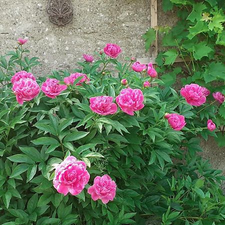 Idyllic Bungalow In Pepelow With Garden 외부 사진